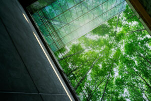 Zielone drzewa widziane przez szklaną fasadę budynku, symbolizujące integrację natury i architektury