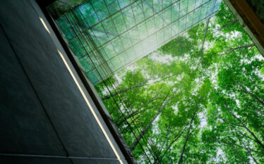 Zielone drzewa widziane przez szklaną fasadę budynku, symbolizujące integrację natury i architektury