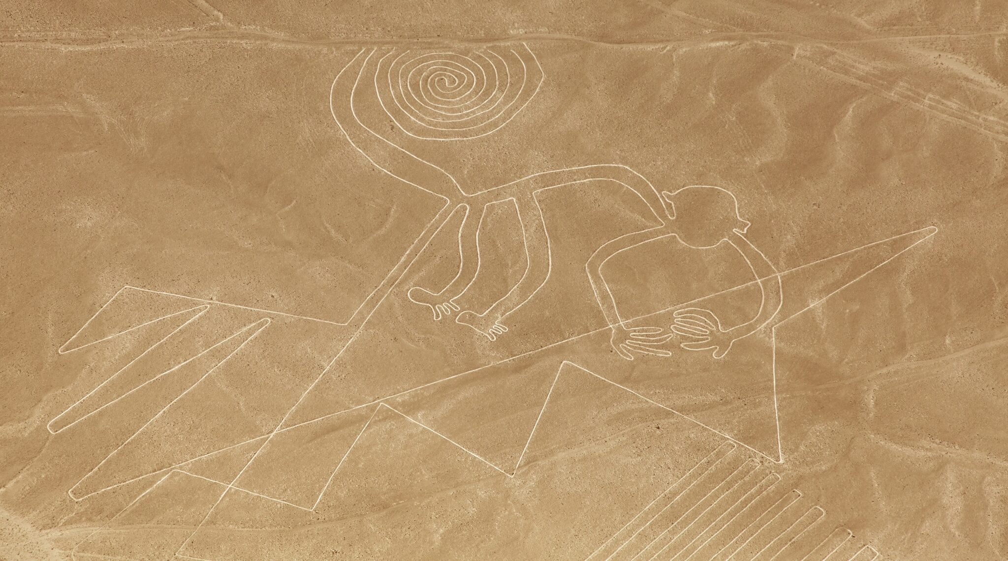 Geoglif przedstawiający małpę w parku archeologicznym Nazca w Peru