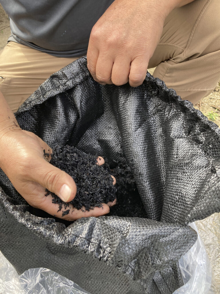 Ręka trzymająca biochar wyprodukowany z resztek roślinnych