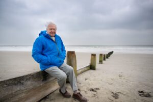 David Attenborough siedzący samotnie na plaży, ubrany w niebieską kurtkę