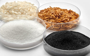 cztery próbki surowców: ryż, łuski ryżowe, biały proszek i czarna sadza