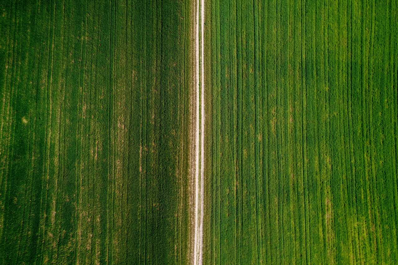 Z lotu ptaka widać pola uprawne wykorzystywane do produkcji biopaliw.