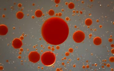 Czerwone mikroskopijne cząsteczki symbolizujące związki chemiczne PFAS w cieczy.