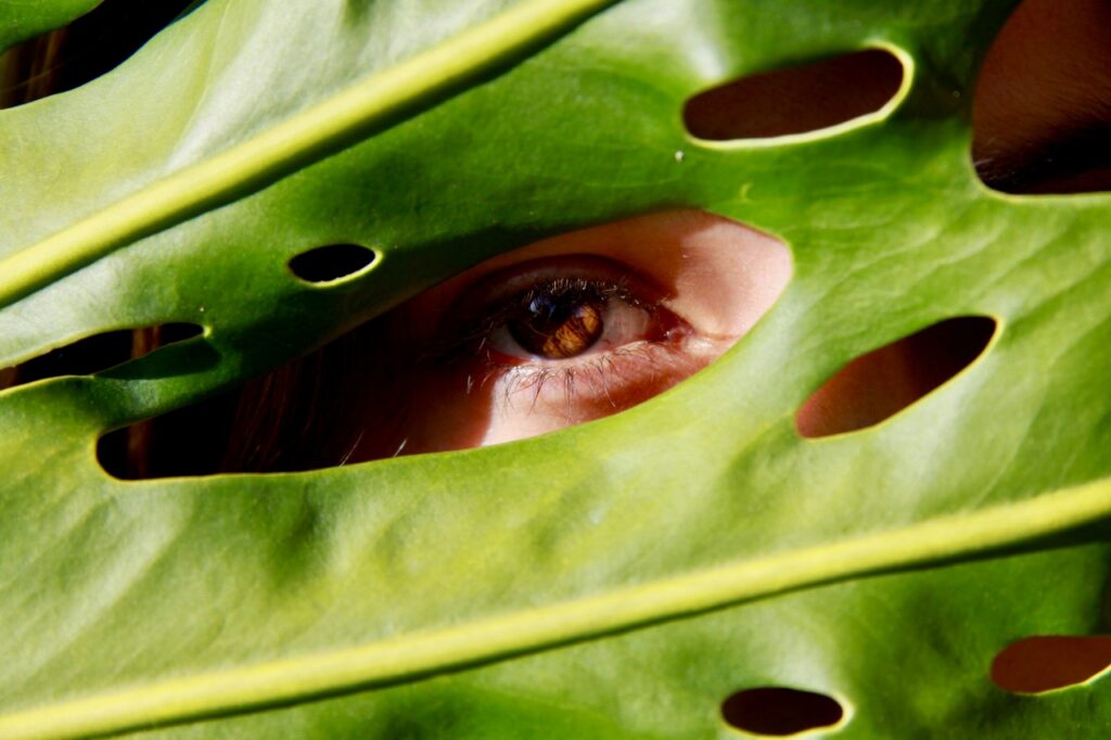 Oko spoglądające przez liść monstery symbolizujące spojrzenie na naturę i ochronę środowiska