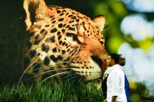 Wielkoformatowy wizerunek jaguara, symbolu Amazonii, na tle którego przechodzą delegaci COP30.