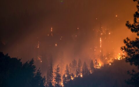 Pożar lasu nocą z intensywnymi płomieniami i unoszącym się dymem.