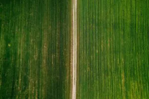 Z lotu ptaka widać pola uprawne wykorzystywane do produkcji biopaliw.